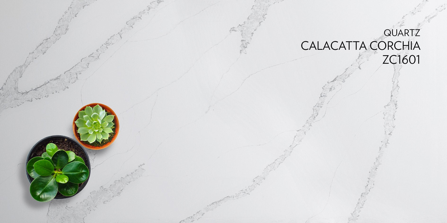 Pearl 3cm Quartz Calacatta Corchia Countertop - Self Pick Up Only